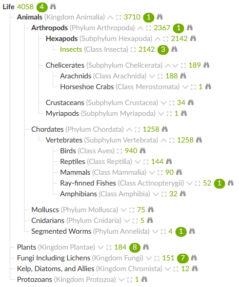 Tree view of my life list